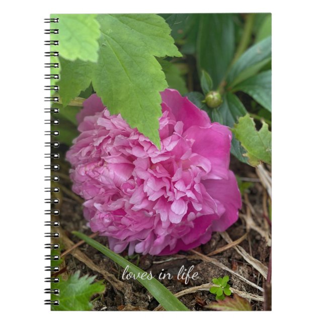 Resting Pink Peony Notebook (Front)