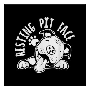 Resting Pit Face Funny Dog Pitbull Meme Poster