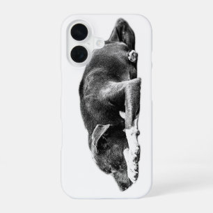 Resting Pitbull Mix Calm Gaze Phone Case