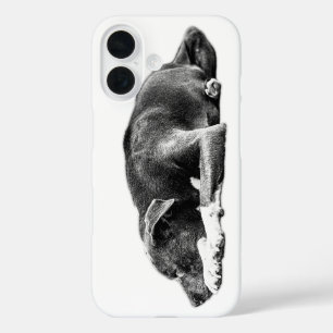 Resting Pitbull Mix Calm Gaze Phone Case
