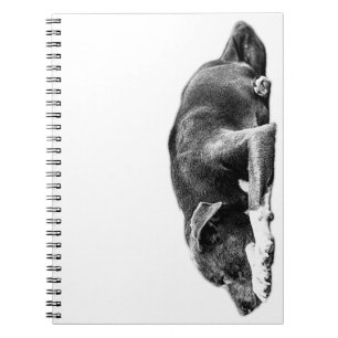 Resting Pitbull Mix Monochrome Art Notebook