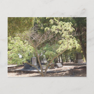 Resting Place Postcard