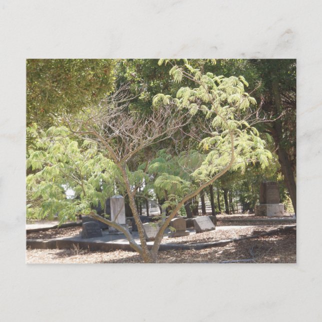 Resting Place Postcard (Front)