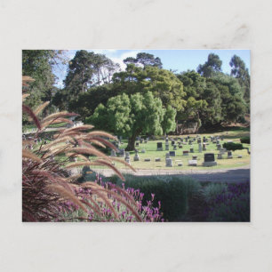 Resting Places Postcard
