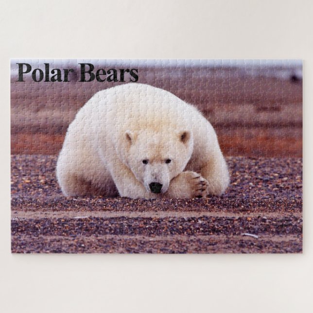 Resting Polar Bear Jigsaw Puzzle (Horizontal)