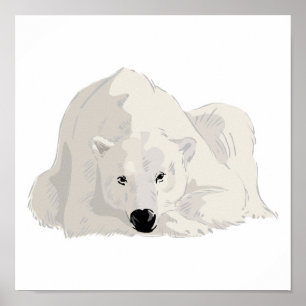 resting polar bear poster