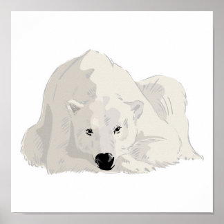 resting polar bear poster
