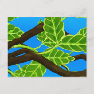 Resting Postcard