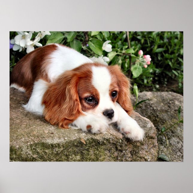 Resting Poster (Front)