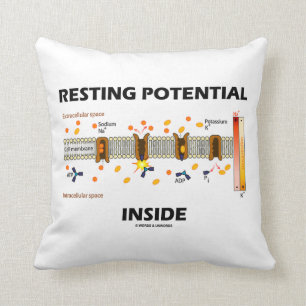 Resting Potential Inside (Sodium-Potassium Pump) Cushion