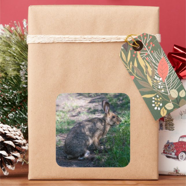 Resting Rabbit in Nature Square Sticker (Holiday)