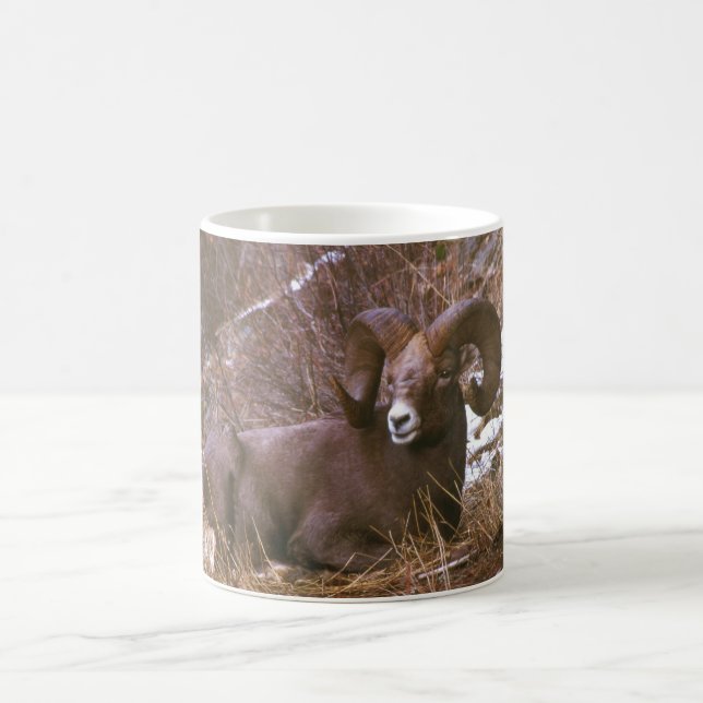 Resting ram coffee mug (Center)