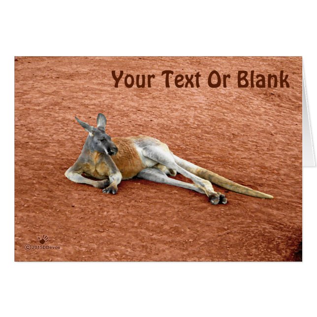 Resting Red Kangaroo Buck (Front Horizontal)