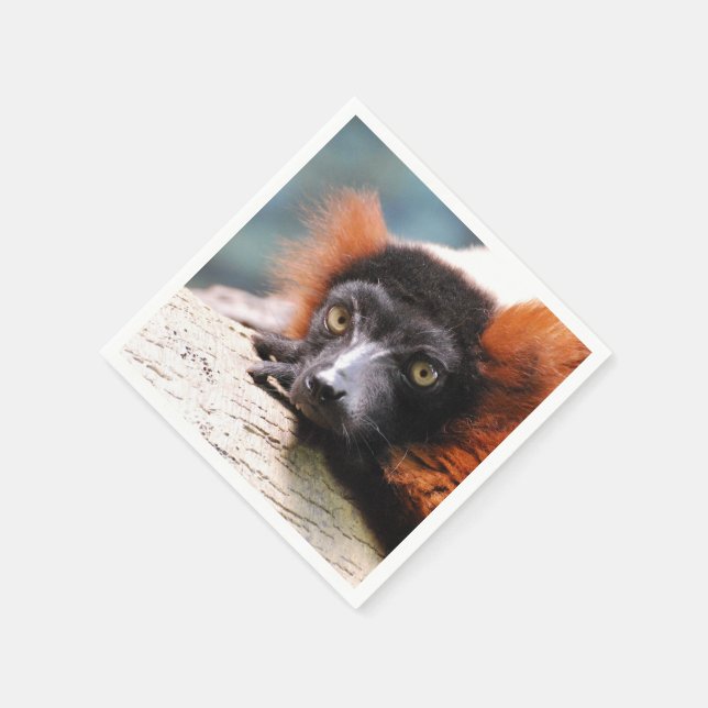 Resting Red Ruffed Lemur Napkin (Corner)