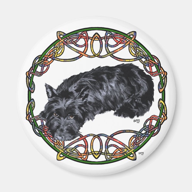 Resting Scottie Celtic Knotwork Magnet (Front)