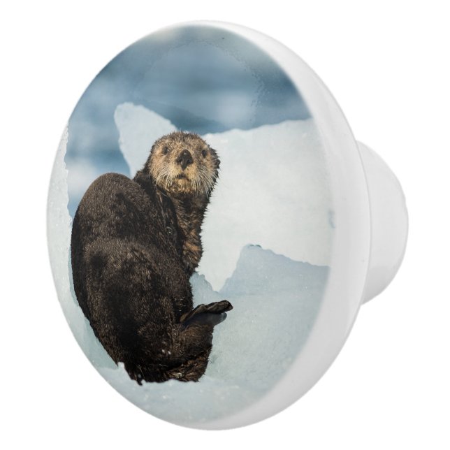 Resting Sea Otter Ceramic Knob (Right)