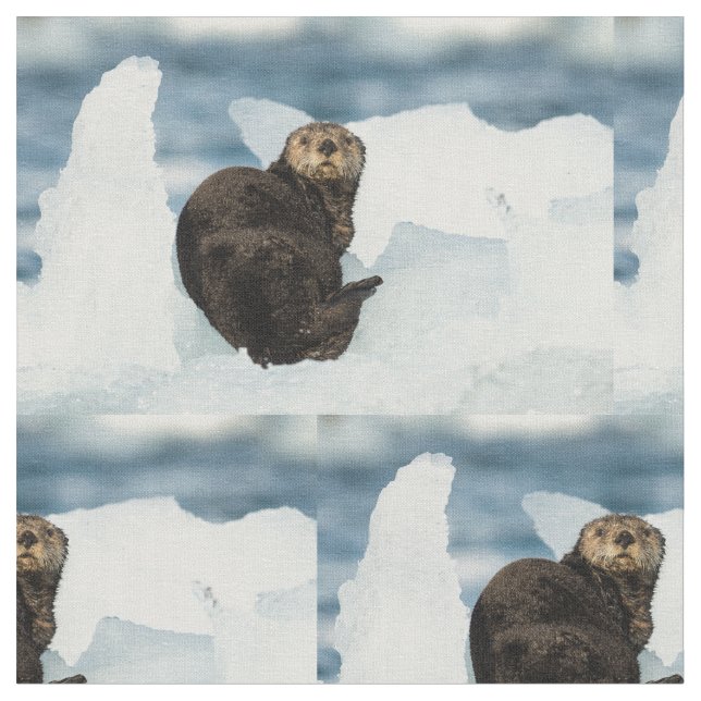 Resting Sea Otter Fabric (Close Up)