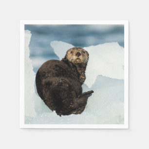 Resting Sea Otter Napkin