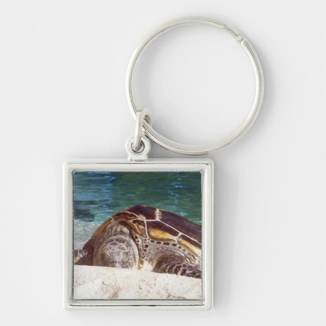 Resting Sea Turtle Key Ring (Front)