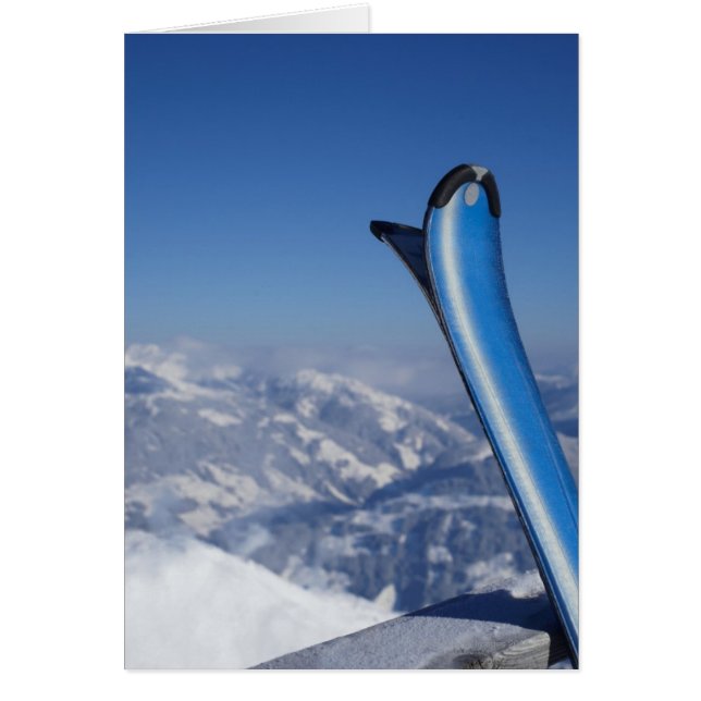 Resting Skis (Front)