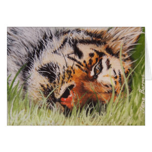 Resting Tiger