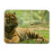 Resting Tiger  Flexible Magnet