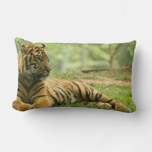 Resting Tiger Pillow (Front)