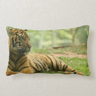 Resting Tiger Pillow