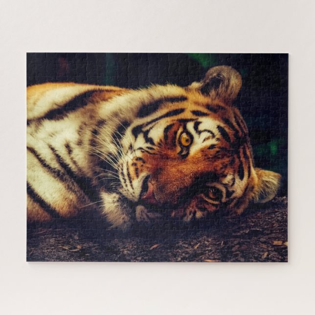 Resting Tiger Puzzle (Horizontal)