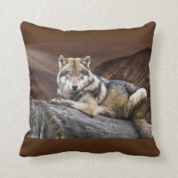 Resting Wolf On Rock