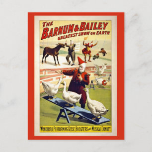Restored, Barnum and Bailey, geese and donkey Postcard