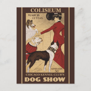 Restored Vintage Chicago Kennel Club Postcard