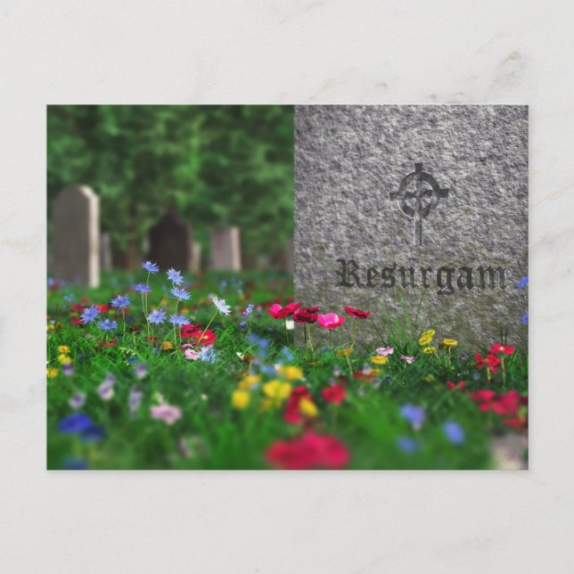 Resurgam Postcard (Front)
