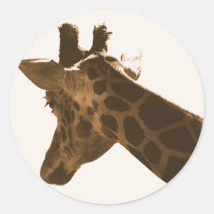 Reticulate Giraffe profile Classic Round Sticker