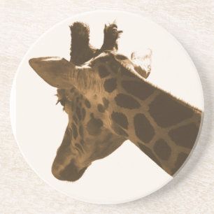 Reticulate Giraffe profile Coaster