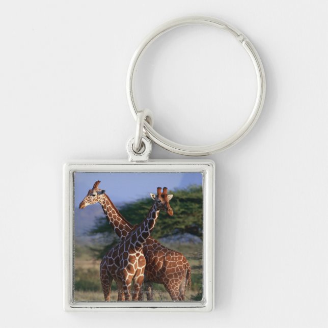Reticulated Giraffe 2 Key Ring (Front)