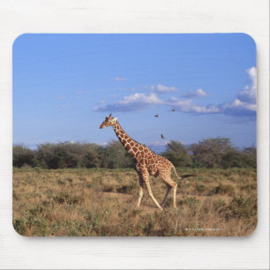 Reticulated Giraffe 2 Mouse Pad