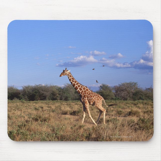 Reticulated Giraffe 2 Mouse Pad (Front)