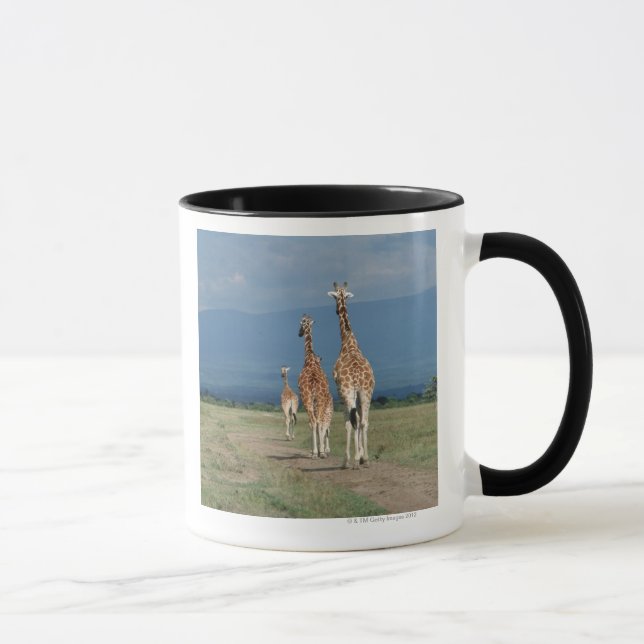 Reticulated Giraffe (Giraffa camelopardalis) 2 Mug (Right)