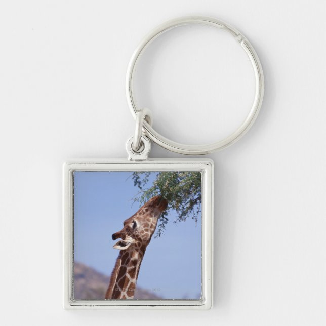 Reticulated Giraffe Key Ring (Front)