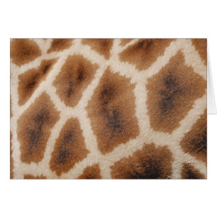 Reticulated Giraffe Pattern Wild Animal Print Gift