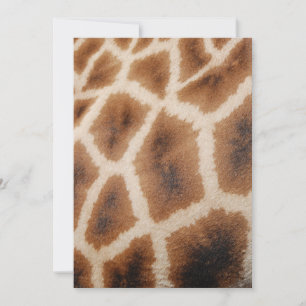 Reticulated Giraffe Pattern Wild Animal Print Gift