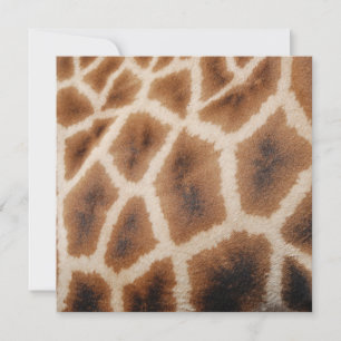 Reticulated Giraffe Pattern Wild Animal Print Gift
