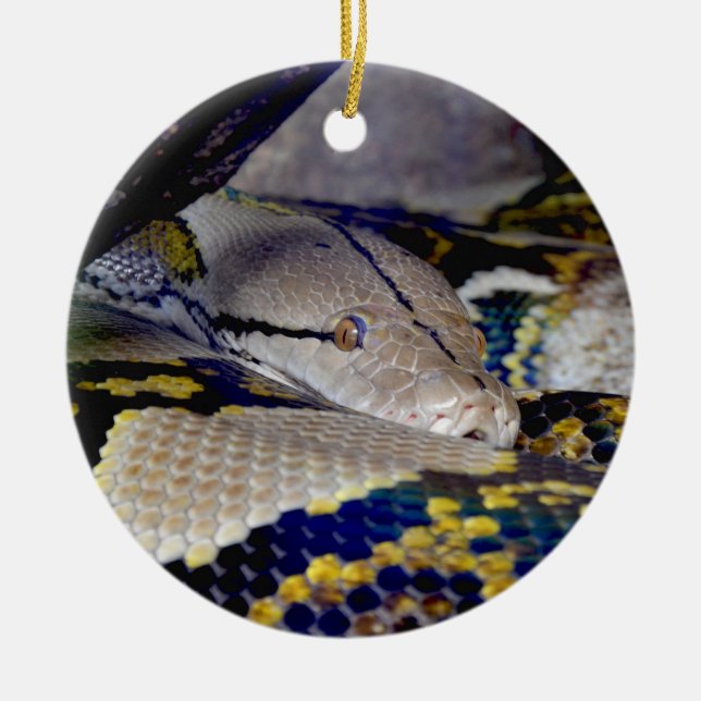 Reticulated Python Snake Ceramic Tree Decoration (Front)