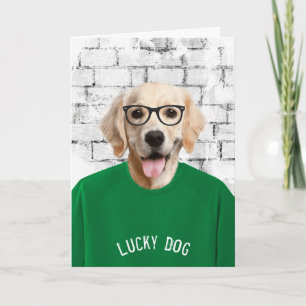 retirement golden retriever in green t-shirt card
