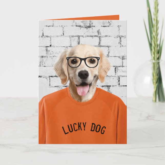 retirement golden retriever in t-shirt card (Front)