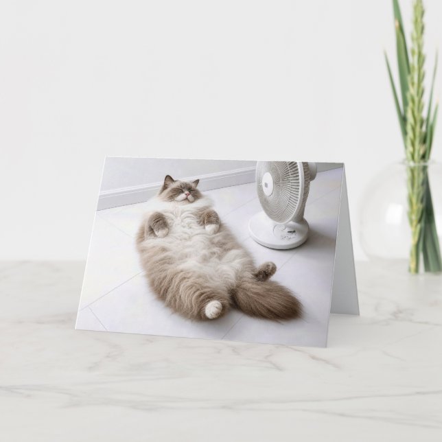 Retirement Ragdoll Cat Cooling Off by a Fan Card (Front)