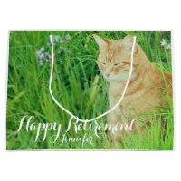 Retirement sleeping ginger cat in a meadow