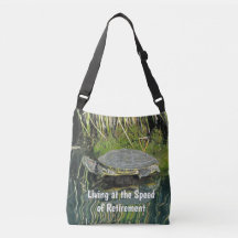 Retirement Turtle Photo Water Reflection Nature