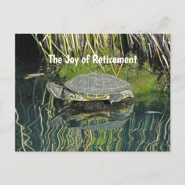 Retirement Turtle with Water Reflection Nature Postcard (Front)